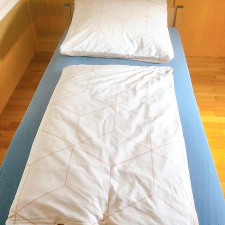 Wohnung Mit Stil トロイスドルフ エクステリア 写真
